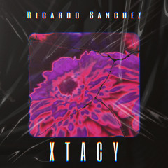XTACY