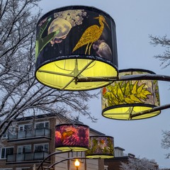 Outsidecast 56 | Tho