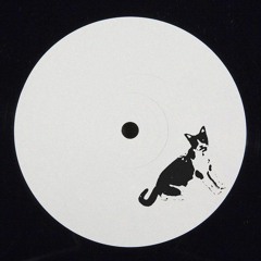 Stray Cat Funk (Free Download)
