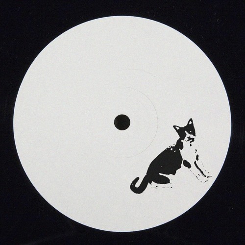 Stray Cat Funk (Free Download)