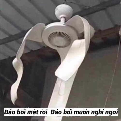 tau sợ tất cả mọi thứ, aug '20