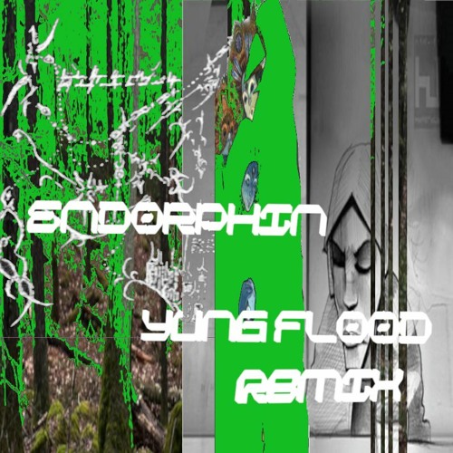 Burial - Endorphin (flood remix)