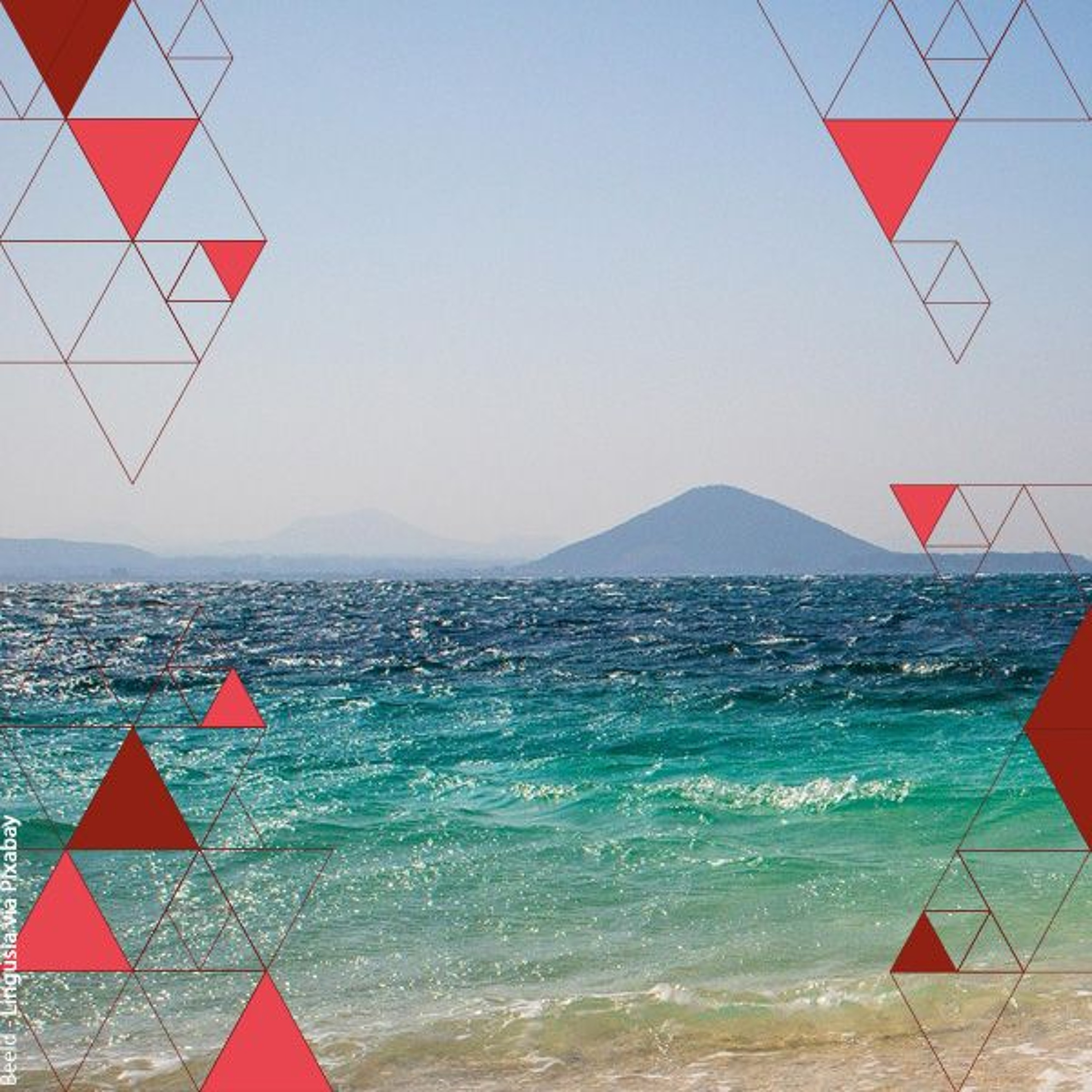 Schimmel, plant, dier: verborgen werelden in beeld | Dina in ’t Zandt en Theun Karelse