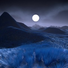 Hike in the Blue Moonlight