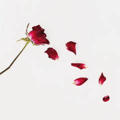 ATL Freestyle(PROD. ZAMORA)