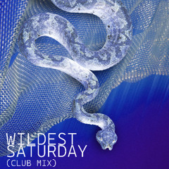 Wildest Saturday (Club Mix)