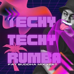 TECHY TECHY RUMBA ( TECH HOUSE MIX )