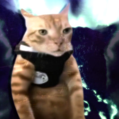 /\=^_^=/\  *beat tape*