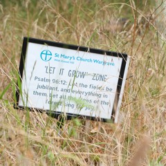 Wilder Churches on BBC Radio Berkshire