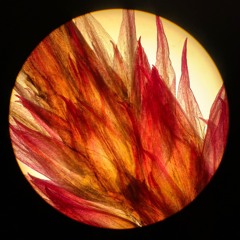 „Modern Cynicism“