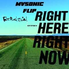 FatBoy Slim Right Here, Right Now (MVSONIC Flip)