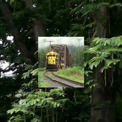 white-throated sparrow ( birdy & i called the train mix )
