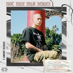 Not Nice #002 - BAYANG (tha Bushranger)