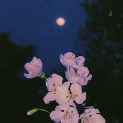 @chefboyaubre - All I’m Into[p. aarxn]