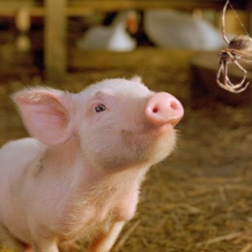 RRoxket - Sniffing Blow (Official Video).mp3