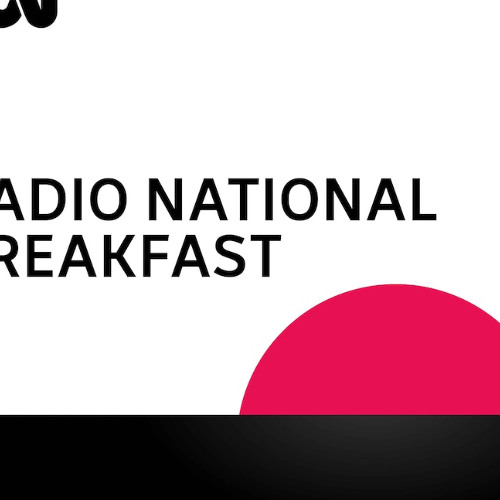 ABC RN Breakfast-Tasmanian AFL clubs future hangs in balance - 6Jun2025