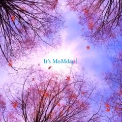 It´s MoMday