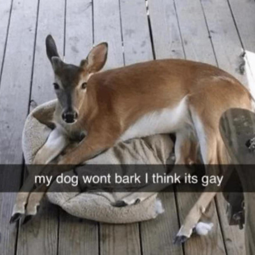 procrasination more like.... stink... nation.....