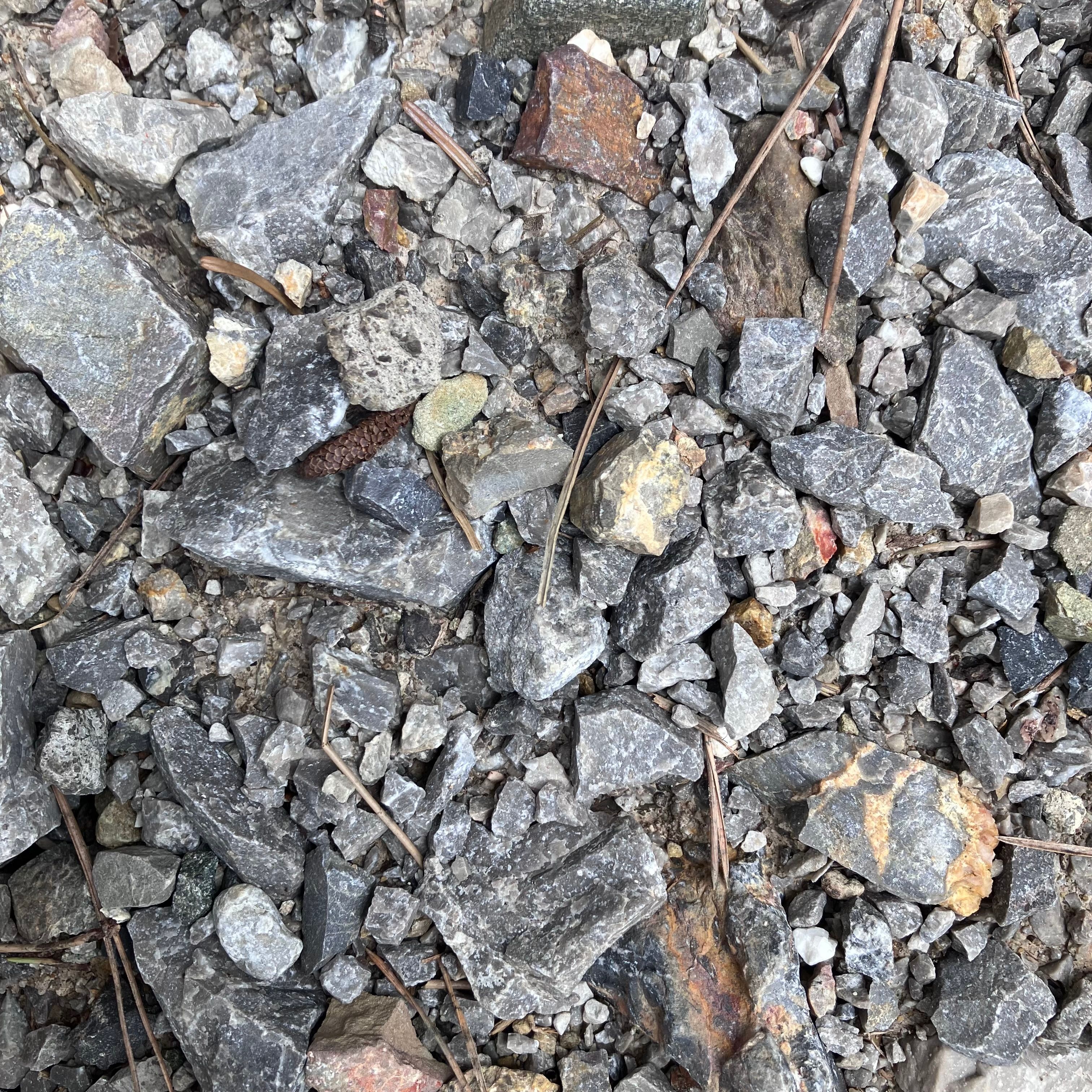 Synaesthesia 4 – Venus Grey