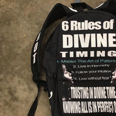 cat-Divine Timing