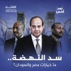 سد النهضة.. ما خيارات مصر والسودان؟