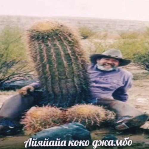 что не заебет