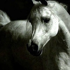 عشق الصبايا محمود الليثي