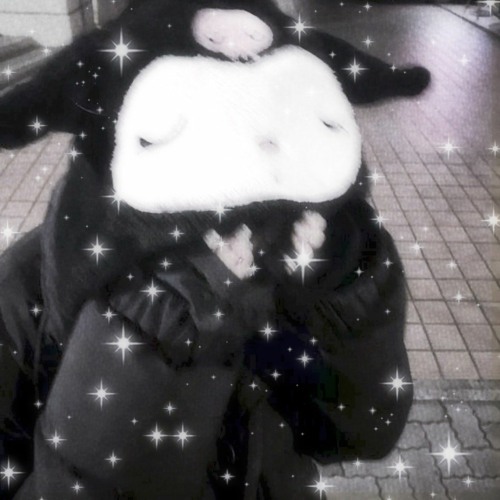 《 sunflowr 🌻 》〔p. garasu〕