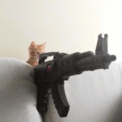 shoot (doublemulti + kulisa)