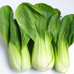 Bok Choi