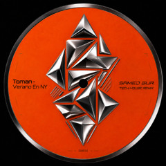 Toman - Verano En NY (Samed Gür Tech House Remix)