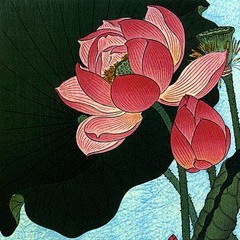 Lotus Blossom - Michael Franks Cover