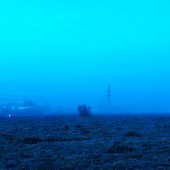 night walk