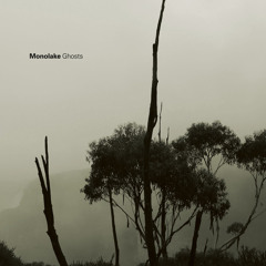 Monolake