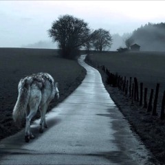 The Dead and Dying Travel Fast (Covered)