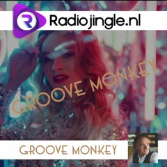 Demo DJ Groov Monkey