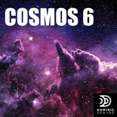 Cosmos 6