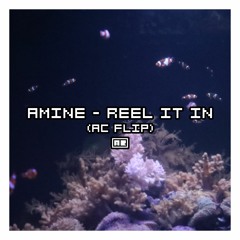 amine - reel it in (ac flip)