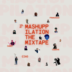 THE MIXTAPE MASHUPPILATION VOL.01