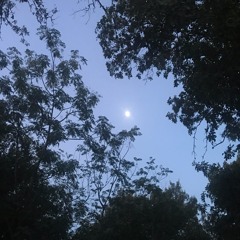 Coming Clutch - Weathering The Storm (Prod. Indire)