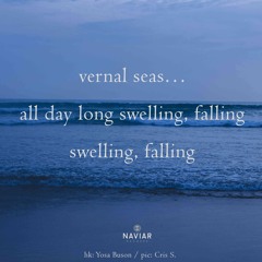 haiku #525: vernal seas… / all day long swelling, falling / swelling, falling