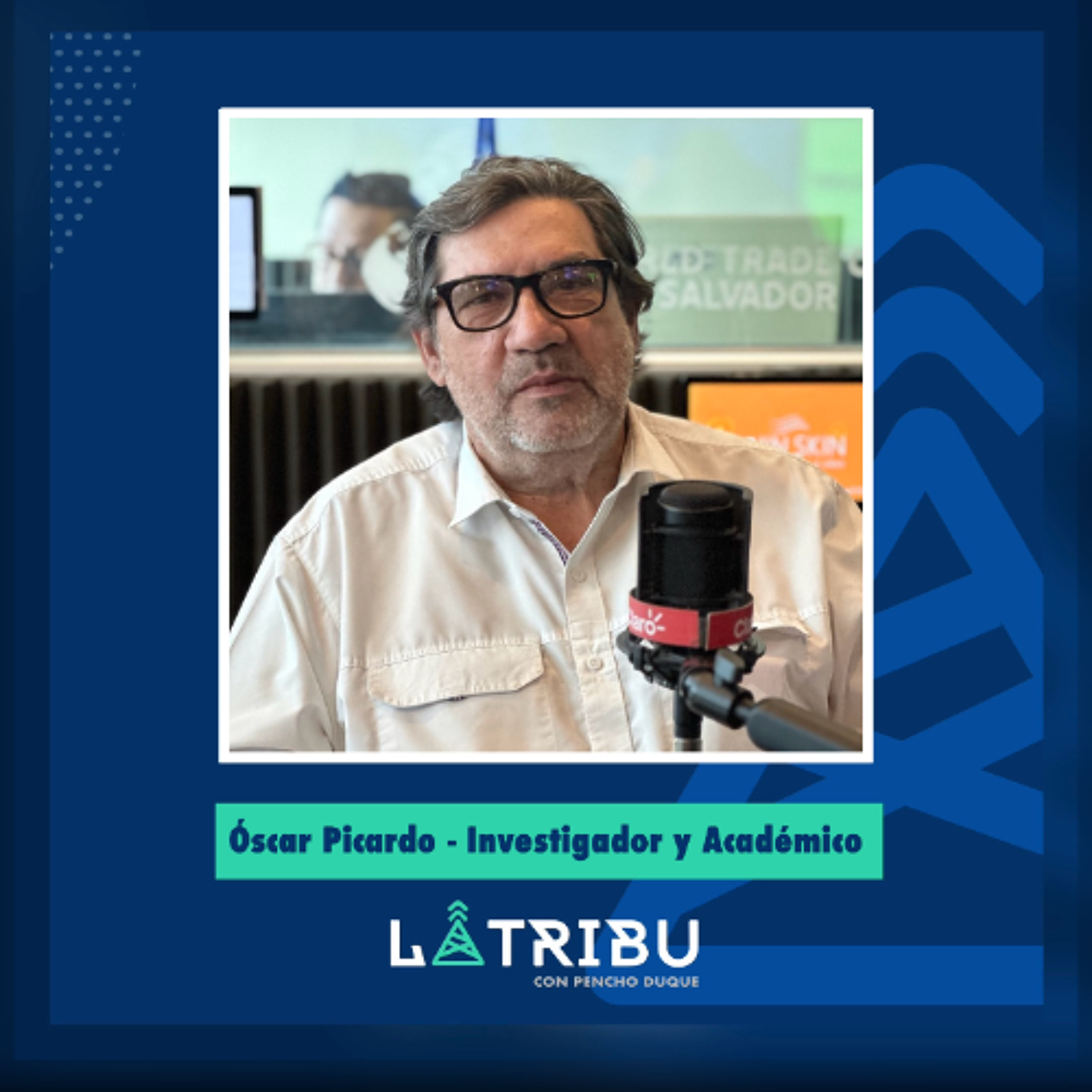 Óscar Picardo - Investigador y Académico.