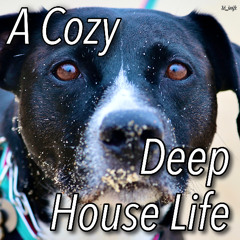 A Cozy Deep House Life