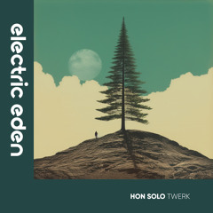 EER363 | Hon Salo  - Twerk [Electric Eden Records]