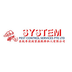 Bed Bug Treatment Solution | Bed Bug Treatment Service In Singapore