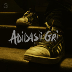 Carlas Dreams - Adidasii gri