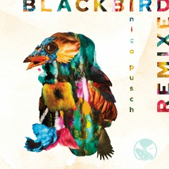 Nico Pusch - Blackbird (Cut N Glue Remix)