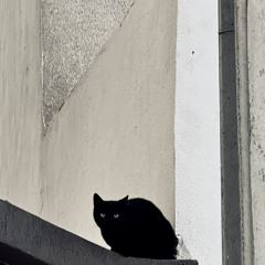 JunTri - جنطري [S002]