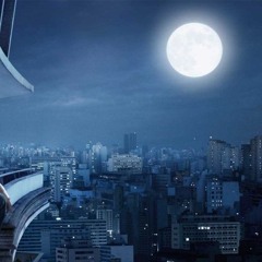 Moonlight Cruising
