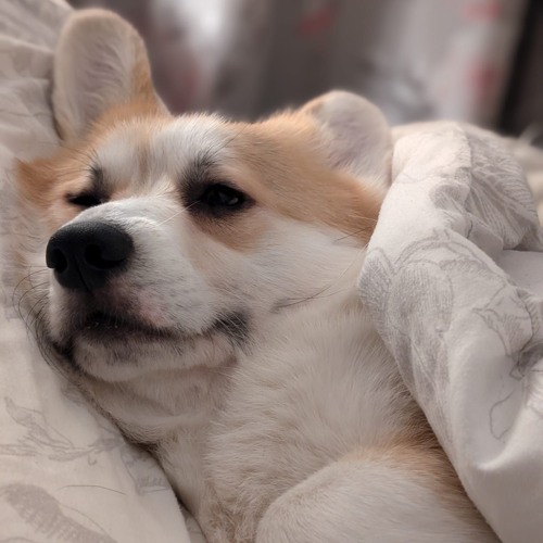 House ATK- Alex Lowe